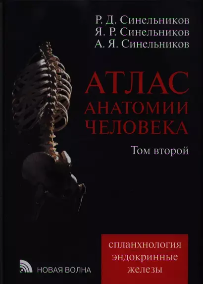 Атлас анатомии человека: В 4 т. Т. 2. 7-е изд. - фото 1