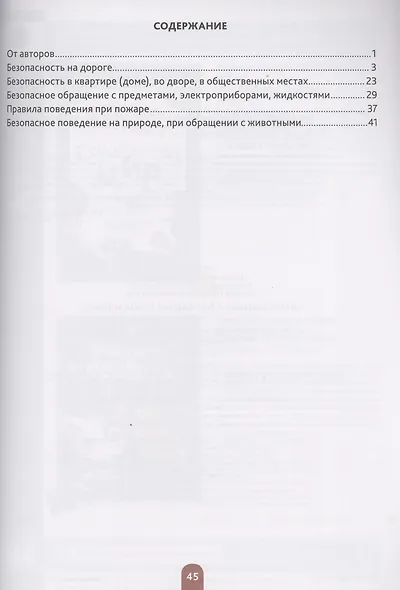Дошкольникам о правилах безопасности. 5-7 лет. Учебное наглядное пособие - фото 2