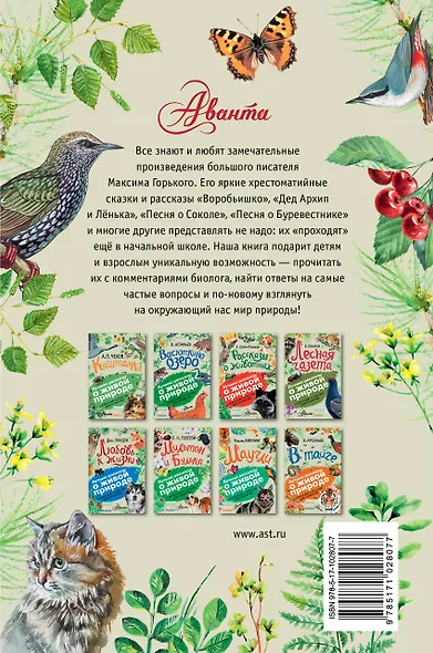 Воробьишко - фото 2