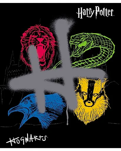 Тетрадь в клетку "Гарри Поттер", 48 листов, в ассортименте - фото 2