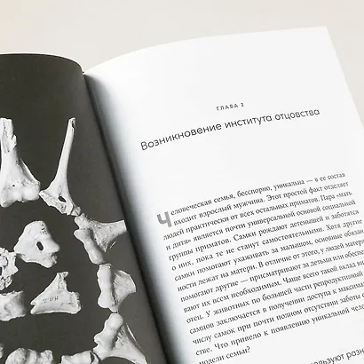 Близкие контакты далеких предков. Как эволюционировал наш вид - фото 3
