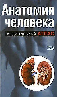 Анатомия человека - фото 1