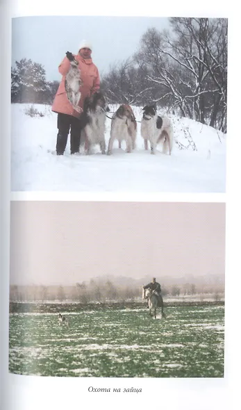 Русская псовая борзая. С древнейших времен до наших дней - фото 13