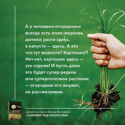 Сорняки под контролем. Избавляемся от нежелательных соседей - фото 4