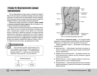 ОГЭ. Биология - фото 14