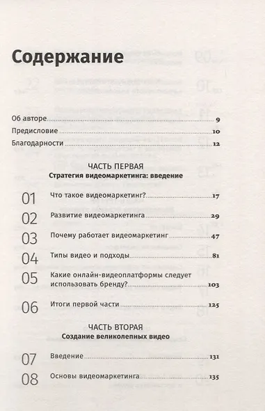 Видеомаркетинг: Стратегия, контент, производство - фото 2