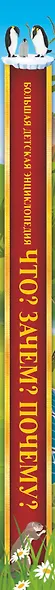 Что? Зачем? Почему? - фото 4