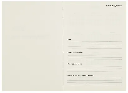 Ежедневник дат. 2025г. А5 176л "Joy Book" персиковый пух, 7Б, тв.переплет, иск.кожа, резинка, карман, скругл.углы, тонир.блок, ляссе, инд.уп - фото 3