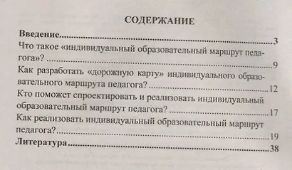 Профессиональный стандарт педагога. Индивидуальный образовательный маршрут педагога как инструмент овладения новыми профессиональными компетенциями. Книга + (CD). Комплект - фото 2