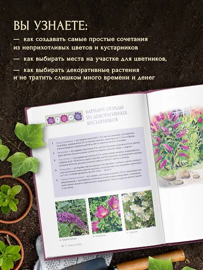 Цветники для ленивых. Простые композиции для любого уголка сада - фото 6