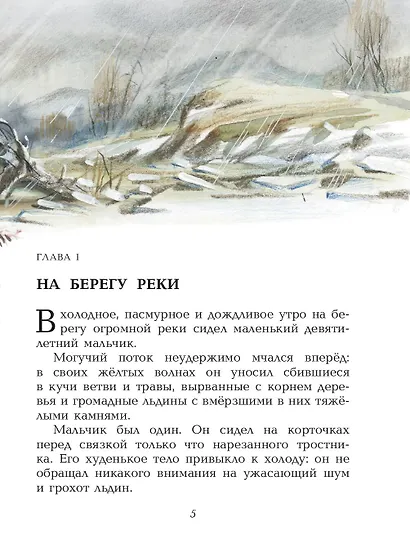 Приключения доисторического мальчика (ил. В. Канивца) - фото 10