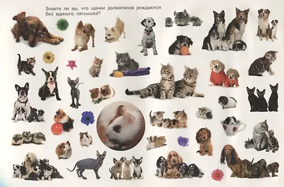 Мамы и малыши - фото 5