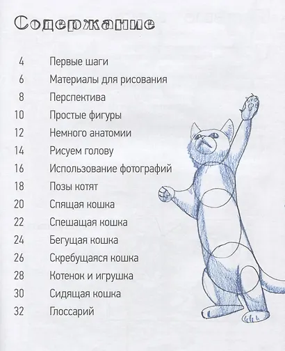 Школа рисования. Кошки - фото 4