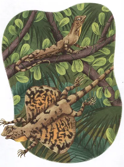 Драконы - фото 5