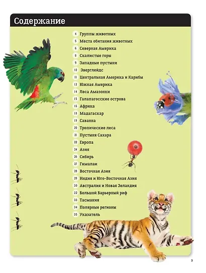 Животные мира. Детский атлас - фото 2