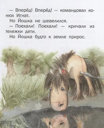 Пони Йошка - фото 4