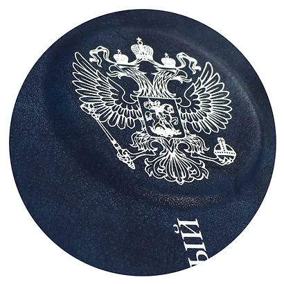 Дневник школьный Феникс+, "Российского школьника" - фото 9