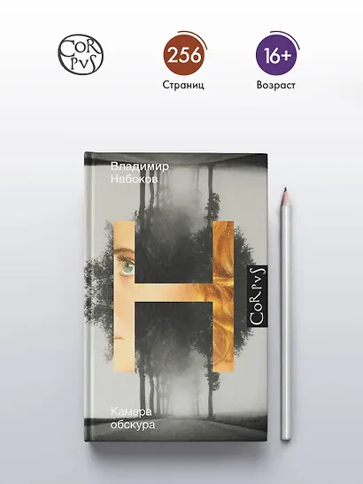 Камера обскура - фото 4