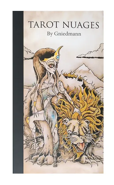 TAROT NUAGES (79 карт+инструкция) - фото 2