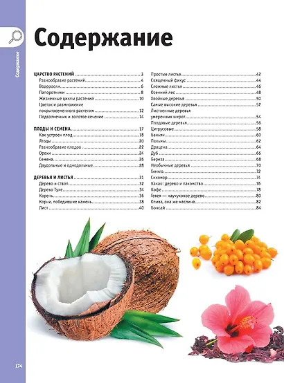 Деревья, листья, цветы и семена - фото 7