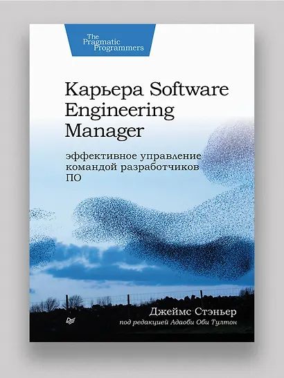 Карьера Software Engineering Manager. Эффективное управление командой разработчиков ПО - фото 3