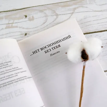 … нет воспоминаний без тебя : повесть. Любовь со дна Босфора : роман - фото 7