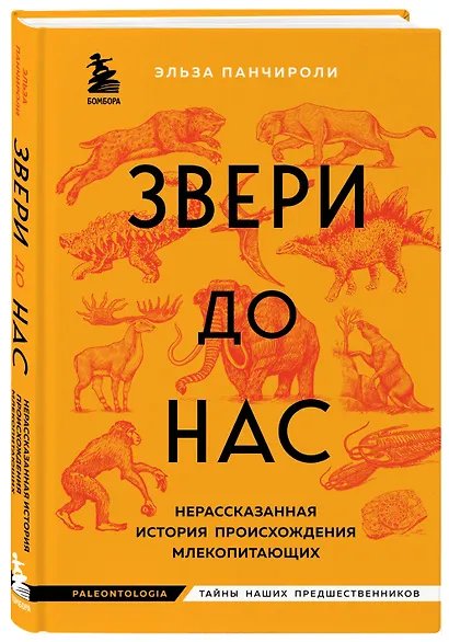 Звери до нас. Нерассказанная история происхождения млекопитающих - фото 3