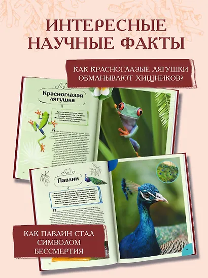 Животные - фото 5