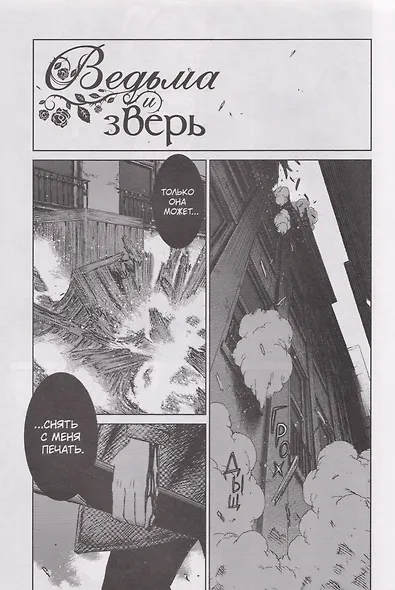Ведьма и зверь. Том 4 - фото 5