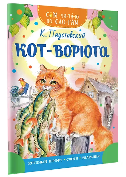 Кот-ворюга - фото 3