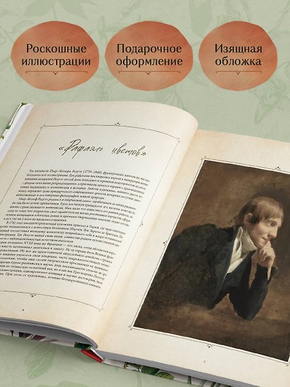 Цветы. Шедевры ботанической иллюстрации Пьер-Жозефа Редуте - фото 6