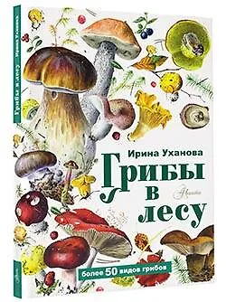 Грибы в лесу - фото 3