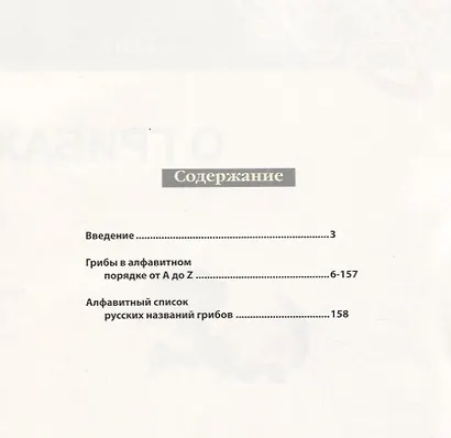 Все о грибах. - фото 4