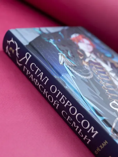 Я стал отбросом графской семьи. Том 2 (Я стал графским ублюдком). Новелла - фото 9