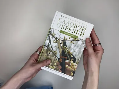 Энциклопедия садовой обрезки - фото 10