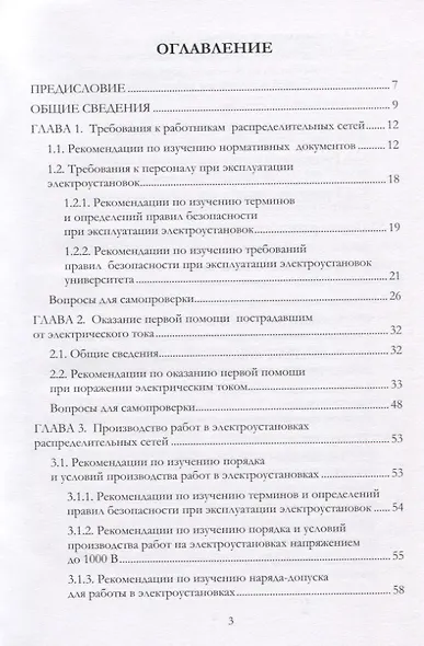 Электробезопасность работников электрических сетей. Учебное пособие - фото 2