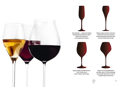 Маленькая книга гурмана. Вино - фото 9