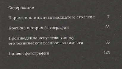 Краткая история фотографии - фото 6