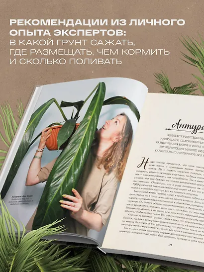 Секреты комнатных джунглей. О чем молчат растения и как понять, что им нужно на самом деле - фото 6