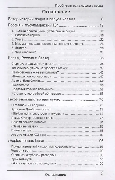 Око бури. Проблемы исламского вызова - фото 2