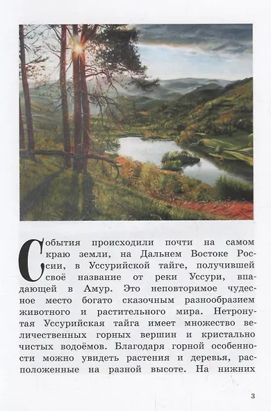 Про любопытного тигренка Тима - фото 2