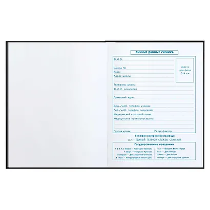 Дневник для младших классов Феникс+, "Конец игры" - фото 9