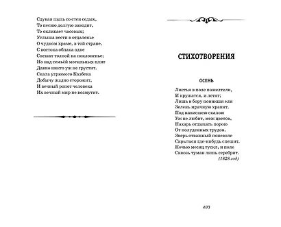 Герой нашего времени. Стихотворения и проза - фото 14