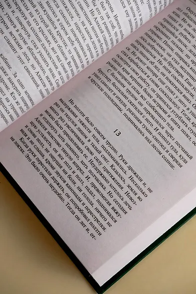 Повесть о настоящем человеке - фото 8