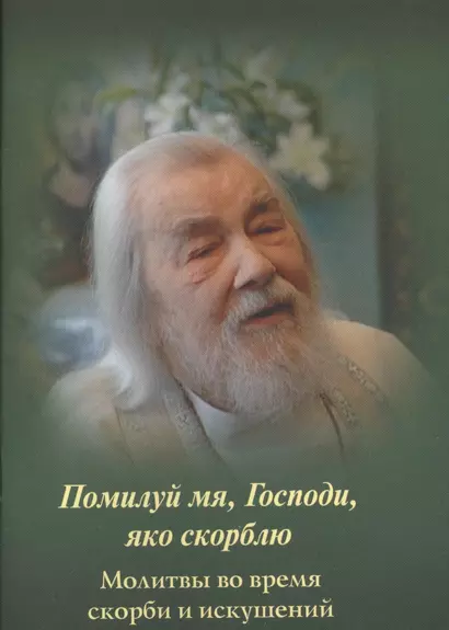 Помилуй мя, Господи, яко скорблю. Молитвы во время скорби и искушений - фото 1