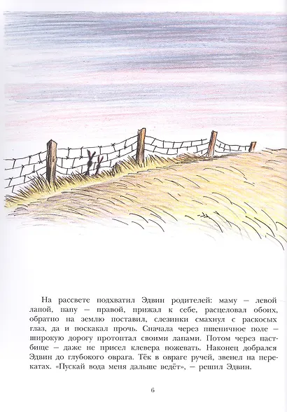 Большой Эдвин - фото 5