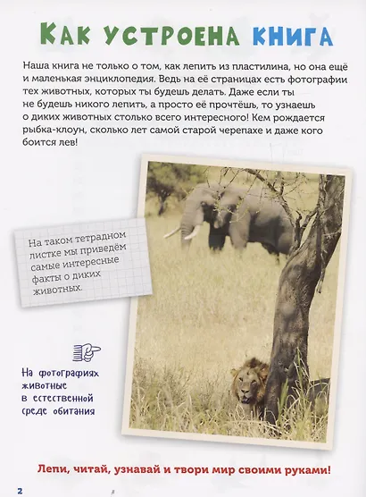 Лепим из пластилина. Изучаем животных - фото 3