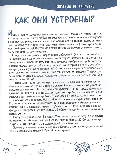 Осьминоги гигантские и крошечные - фото 3