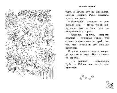 Прятки в джунглях - фото 4
