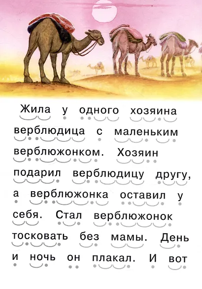Читаем сами Верблюжонок - фото 3